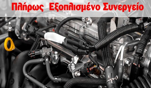 auto egefalos