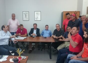 elga agrotes12