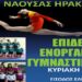 iraklis naousa gimnast