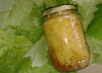 Σπιτικά χειροποίητα βιολογικά αμπελόφυλλα από το Κτήμα Κελεσίδη