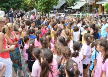 mini volei