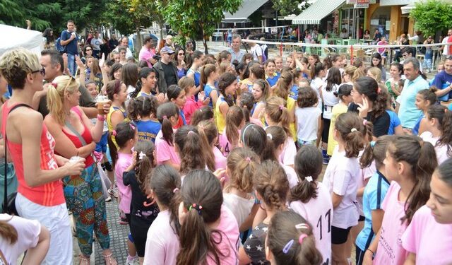 mini volei