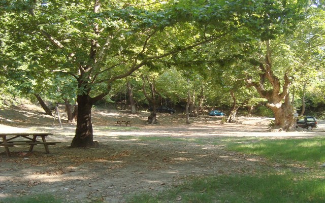 platanakia vergina
