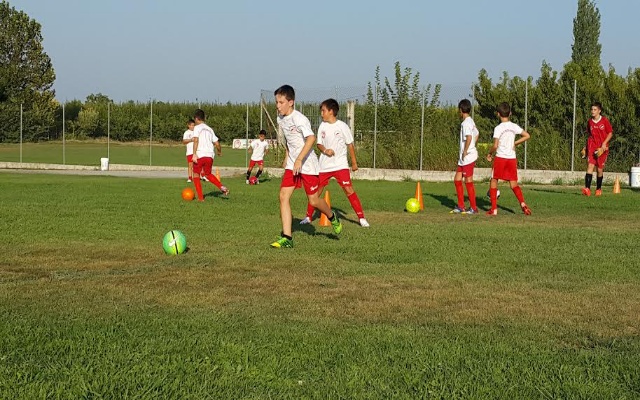 nireas premiera2