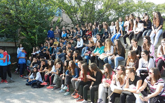 5o gel spor2
