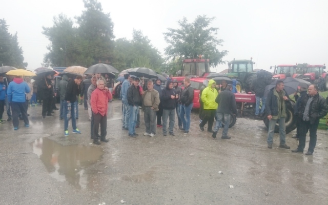 Agrotes koulour