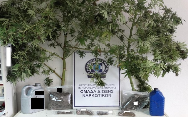 Βέροια: συνελήφθησαν δύο ημεδαποί για διακίνηση κάνναβης
