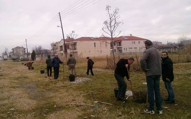 Δεντδοφύτευση από την Ομάδα Δράσης και Αλληλεγγύης Αλεξάνδρειας