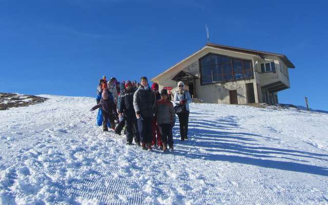 5o dim nao ski