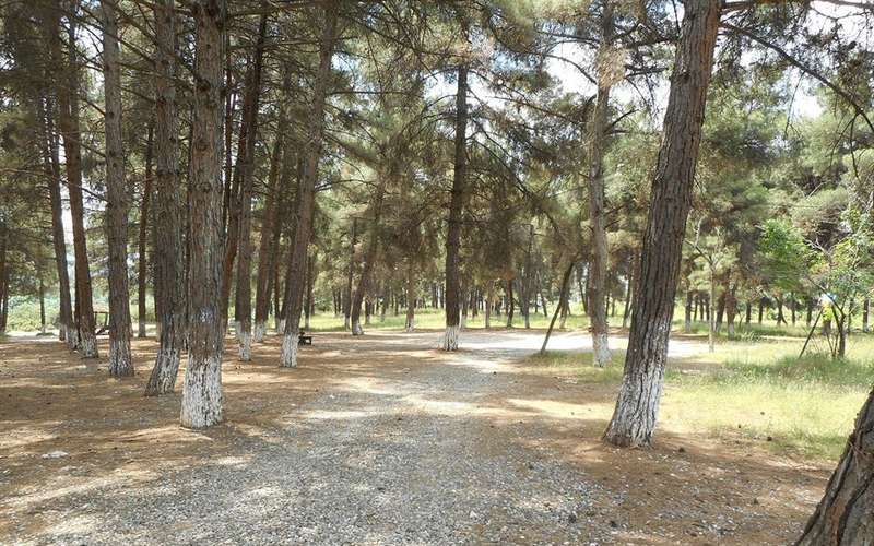Νέα εθελοντική δράση της Περιβαλλοντικής ομάδας Βέροιας στον Αλιάκμονα