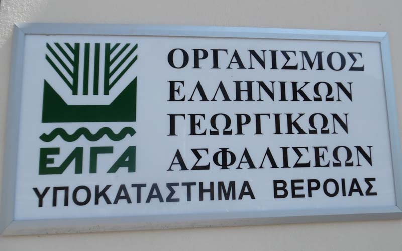 Δηλώσεις ζημιών από παγετό σε Μακροχώρι και Διαβατό – Εστάλησαν πορίσματα από χαλάζι
