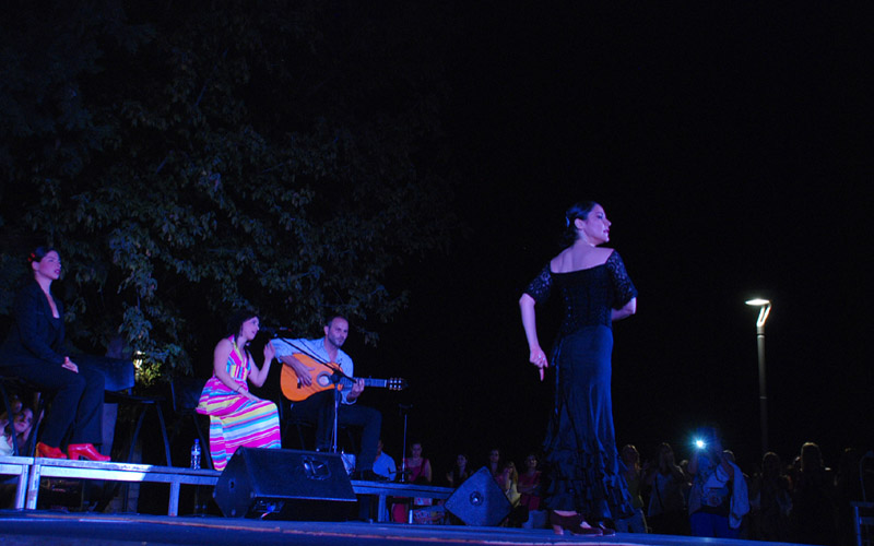 Απόλαυσε flamenco το κοινό της Βέροιας (φωτογραφίες & βίντεο)