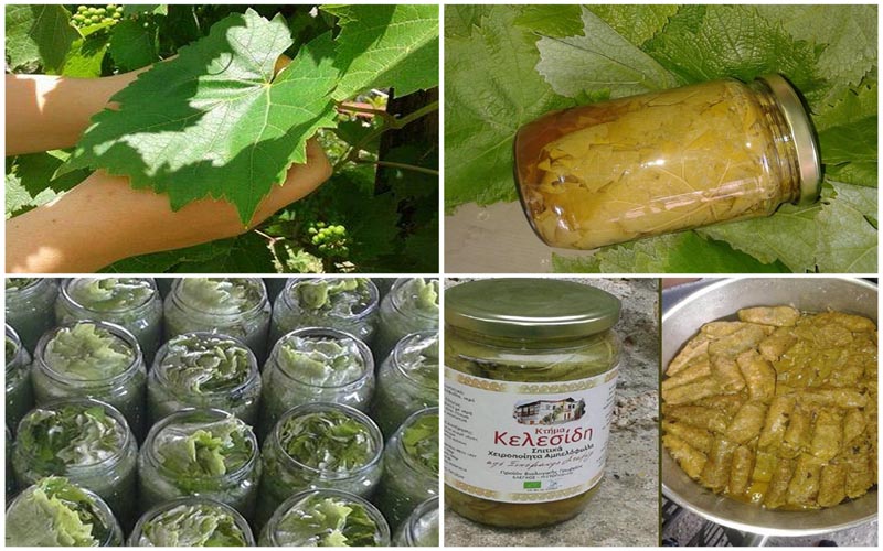 Σπιτικά χειροποίητα βιολογικά αμπελόφυλλα από το Κτήμα Κελεσίδη