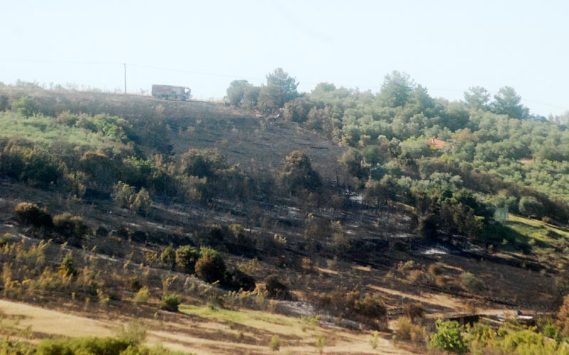 Εικόνες μετά την φωτιά έξω από την Βέροια