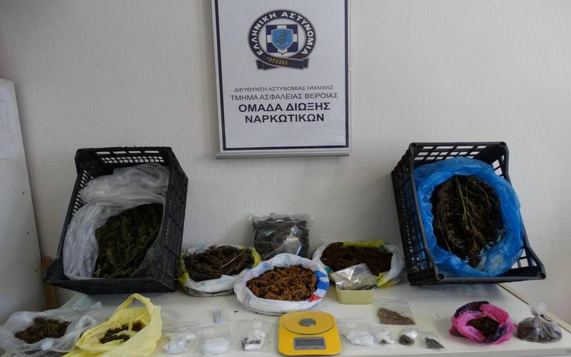 Zευγάρι στην Ημαθία καλλιεργούσε και διακινούσε κάνναβη