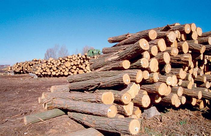 Καλύπτονται οι ανάγκες σε καυσόξυλα των υπολοίπων 30 απολυμένων του Βαρβαρέσου