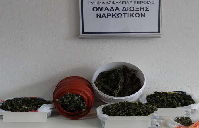 Ημαθία: Έκρυβε στο σπίτι του κάνναβη 1.748 γραμμαρίων