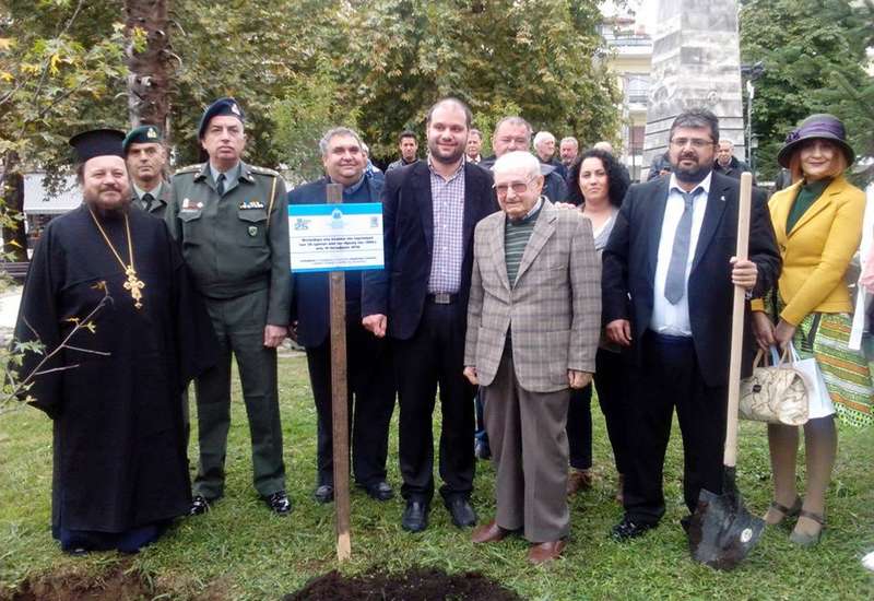 Νάουσα: Φύτευση μιας λικιδάμβαρης στην Πλατεία Καρατάσιου
