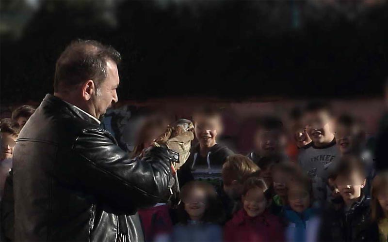 Ένα γεράκι στην αυλή του 5ου Δημοτικού Σχολείου Βέροιας