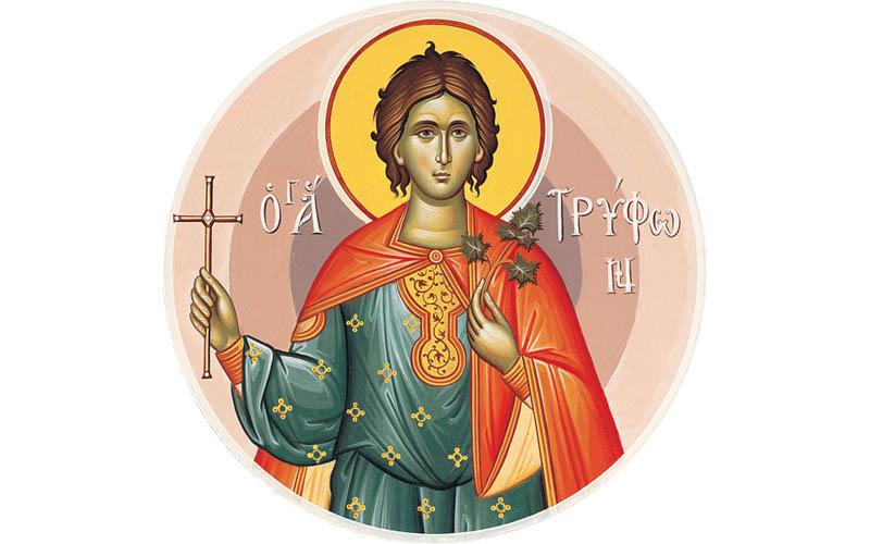 Άγιος Τρύφωνας, Ο προστάτης των Αμπελουργών