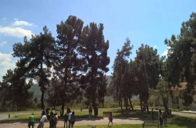 Μαθητές των Εκπαιδευτηρίων Δούκα στο Μουσείο Εκπαίδευσης Βέροιας