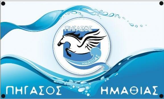 Σε μεγάλη ετοιμότητα τα προαγωνιστικά δελφίνια του Πήγασου στους Χειμερινούς Αγώνες κολύμβησης