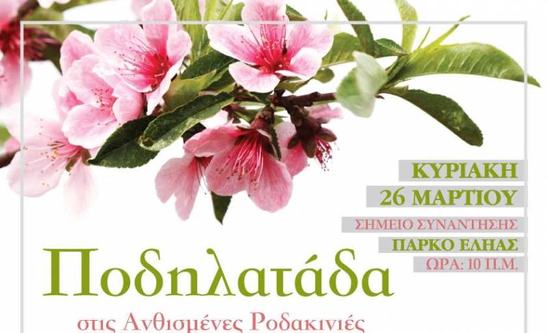 Ποδηλατάδα στις Ανθισμένες Ροδακινιές