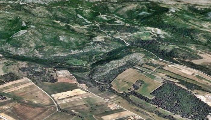 Ανάρτηση δασικού χάρτη των Τοπικών και Δημοτικών Κοινοτήτων του Δήμου Αλεξάνδρειας, Βέροιας και Νάουσας