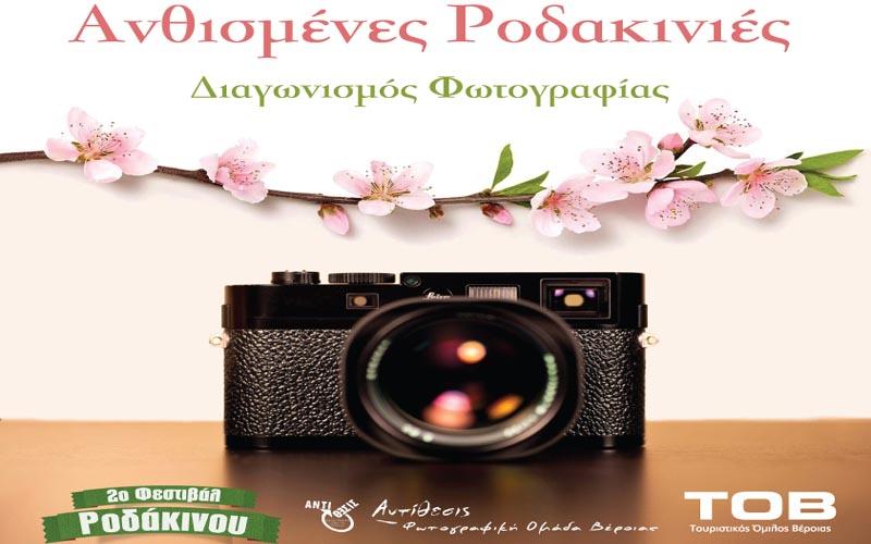 Διαγωνισμός φωτογραφίας: «Ανθισμένες Ροδακινιές»