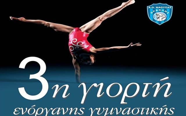 3η Γιορτή Ενόργανης Γυμναστικής στη Νάουσα