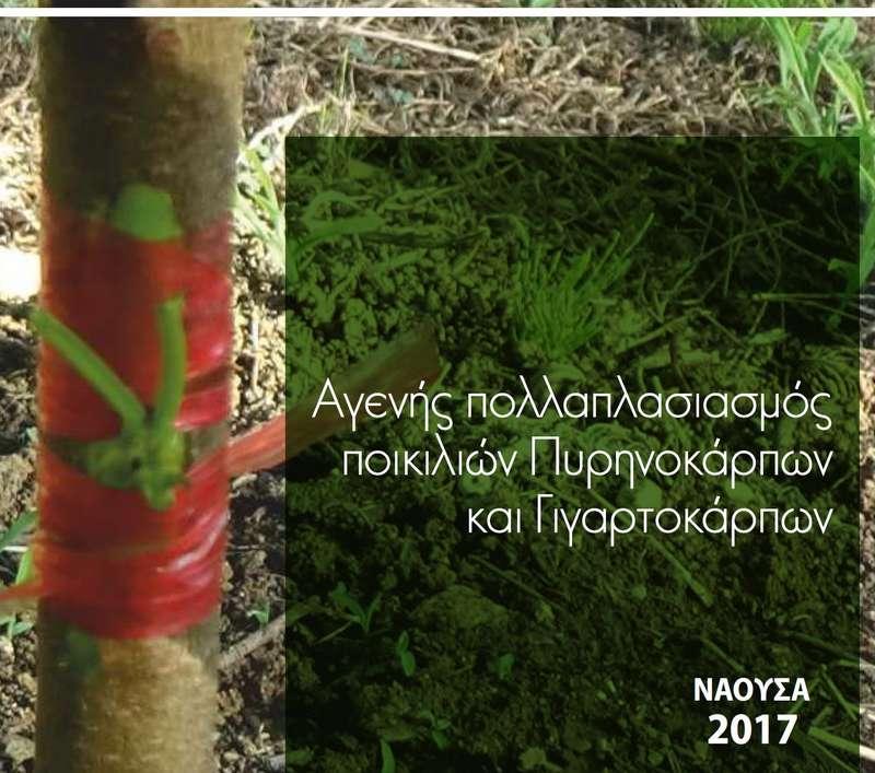 Εγχειρίδιο για τον αγενή πολλαπλασιασμός ποικιλιών πυρηνοκάρπων και γιγαρτοκάρπων