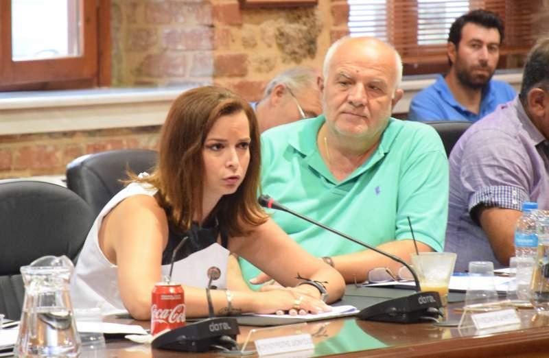 Δεν πέρασε στο Δημοτικό Συμβούλιο Βέροιας η παραχώρηση του πάρκου Αγ. Αναργύρων για θερινό σινεμά