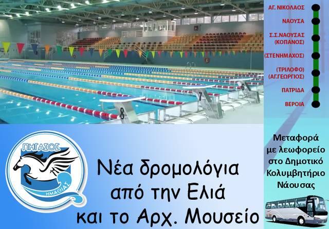 Για 4η χρονιά ο Πήγασος στο Δημοτικό κολυμβητήριο Νάουσας