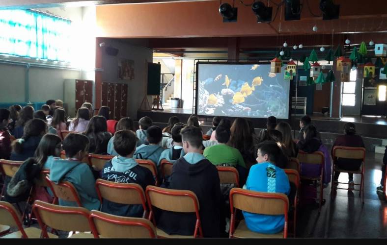 Διαδραστικός κινηματογράφος στο 2ο Γυμνάσιο Βέροιας