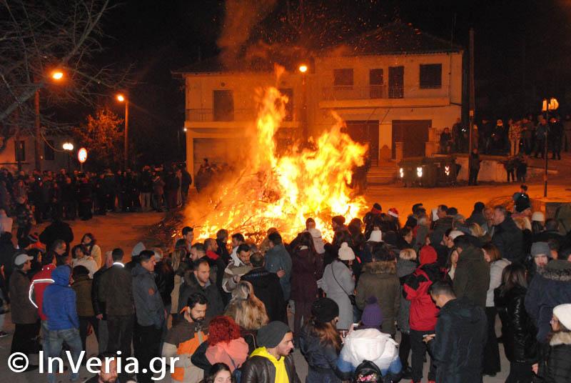 Άναψαν και φέτος τα κέδρα στην Φυτειά