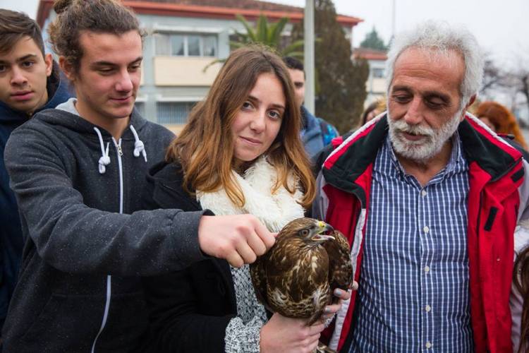 Απελευθέρωση γερακιού σε αυλή σχολείου