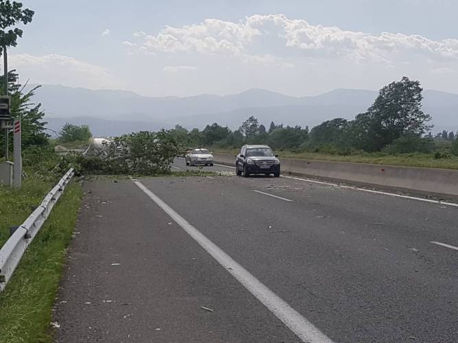 Τραγικός θάνατος οδηγού από δέντρο στην Εγνατία κοντά στη Βέροια