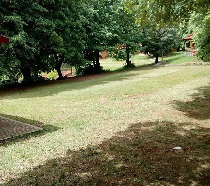 Παρέμβαση Φρόσως Καρασαρλίδου για τη λειτουργία της Μαθητικής Κατασκήνωσης στην Αγία Τριάδα Νάουσας