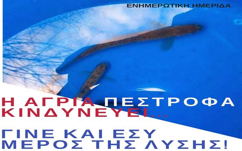 Ημερίδα στην Βέροια για την άγρια πέστροφα