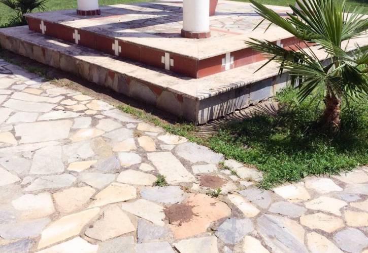 Κοπάδι αγελάδων “μπούκαρε” στο Κουμανίτσι