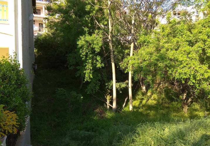 Αποψίλωση της έντονης βλάστηση ζητά από οικοπεδούχους η Δημοτική Αστυνομία Βέροιας