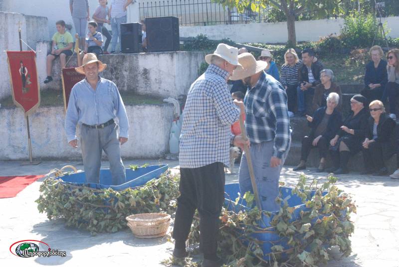 Αναβίωσε το έθιμο του τρύγου στην Αγία Βαρβάρα (φωτογραφίες, βίντεο)