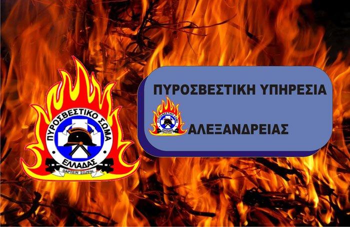 Ενημέρωση στο Δημοτικό Σχολείο Αλεξάνδρειας από την Πυροσβεστική Αλεξάνδρειας