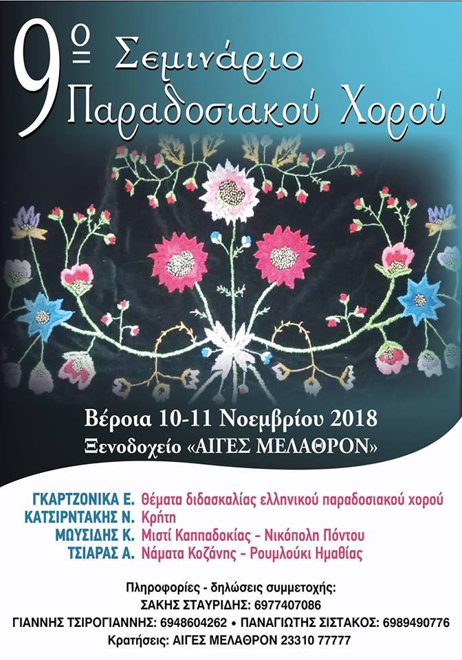 Διήμερο σεμινάριο παραδοσιακού χορού στην Βέροια