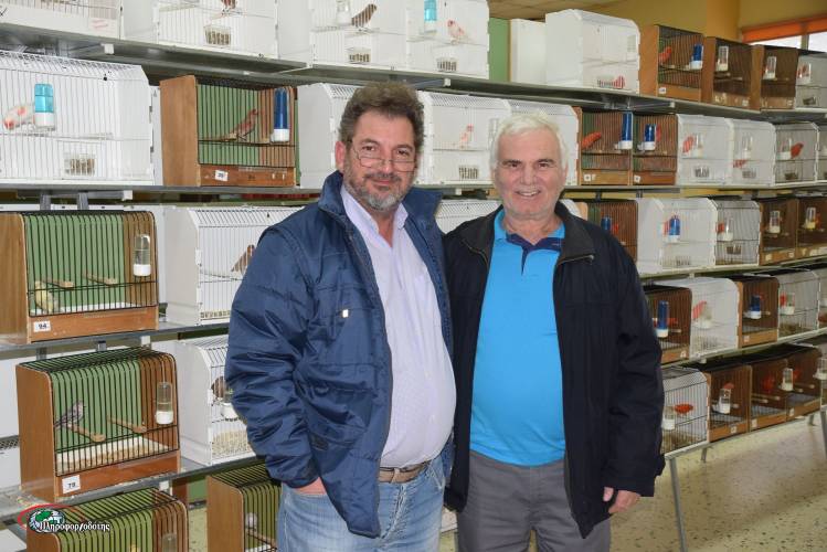 450 καναρίνια διαγωνίστηκαν στο Μακροχώρι (φωτογραφίες)