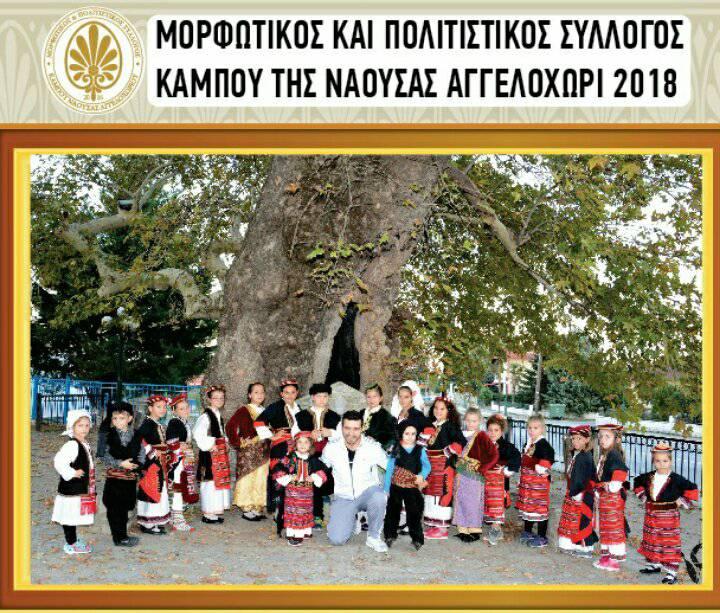 Ετήσιος χορός του Κάμπου της Νάουσας