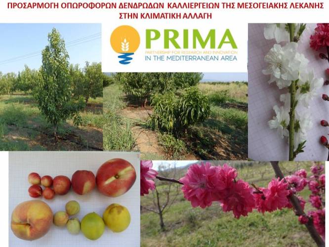 Έναρξη ερευνητικού έργου για την προσαρμογή των δενδρωδών καλλιεργειών στην κλιματική αλλαγή στο ΤΦΟΔ Νάουσας