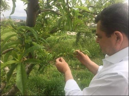 Χαλαζόπληκτες περιοχές επισκέφθηκε ο αντιπεριφερειάρχης Κώστας Καλαϊτζίδης