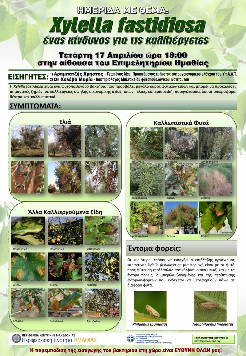 Ημερίδα στην Βέροια για το βακτήριο xylella fastidiosa