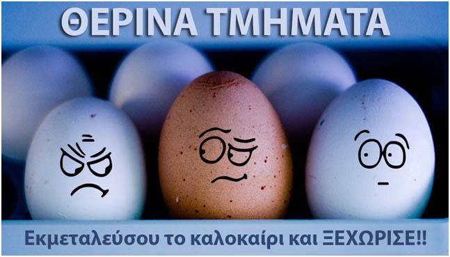 Θερινά εκπαιδευτικά προγράμματα στη ΔΙΚΤΥΩΣΗ